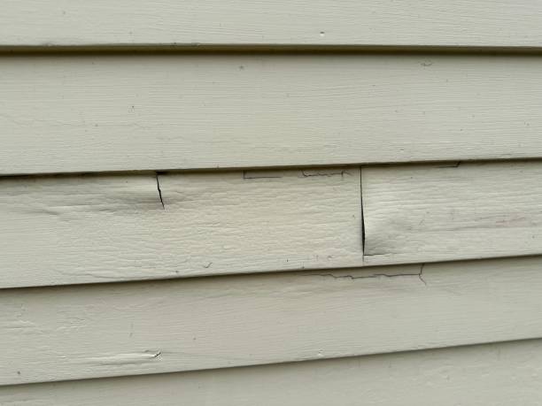  Houston, TX Siding Pros